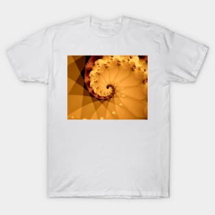 Spiral in Brown T-Shirt